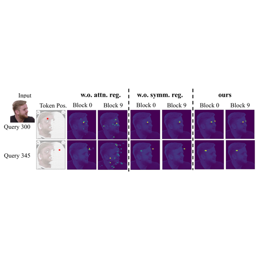 FA-LAM attention activation maps