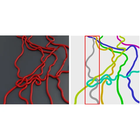 Tangled red cords beside a segmentation map that assigns a separate color to each cord.
